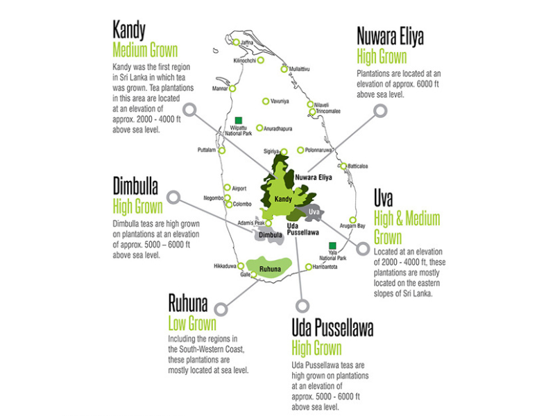Tea growing regions Sri Lanka.png