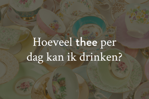Hoeveel thee per dag mag je consumeren? Dit moet je weten.