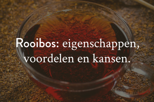 Rooibos: de eigenschappen, voordelen en kansen van deze unieke Zuid-Afrikaanse infusie.