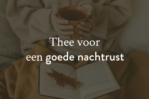 Thee voor het slapen: de natuurlijke manier om tot rust te komen