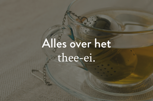 Thee ei gebruiken? Lees hier alles wat je moet weten.