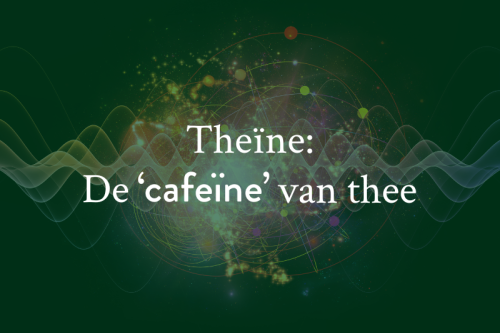 Theïne in thee: wat is het precies en hoeveel theïne zit er in een kop thee?