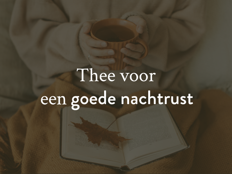 Thee voor het slapen: de natuurlijke manier om tot rust te komen