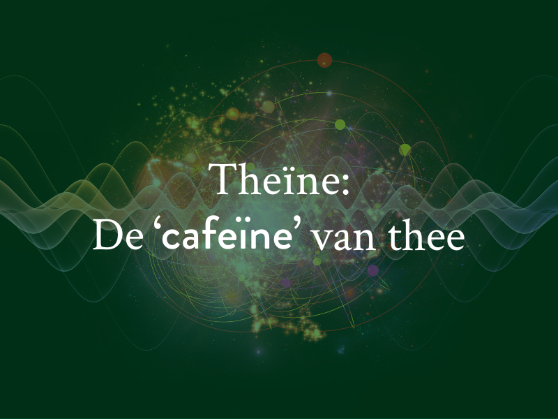 Theïne in thee: wat is het precies en hoeveel theïne zit er in een kop thee?